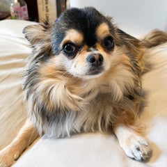 あべべのプロフィール