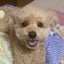 きなきなのサムネイル