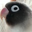 おかさんのサムネイル