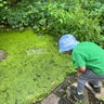 シカゴで子育てのプロフィール