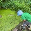 シカゴで子育てのサムネイル