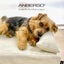 画像 犬のベッド｜アンベルソ - アメーバブログのユーザープロフィール画像