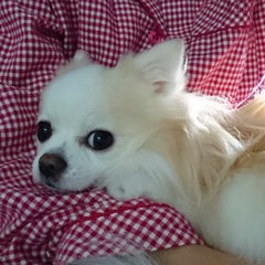 ありなのプロフィール