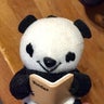 ecoのプロフィール