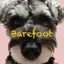 画像 care-barefootのブログのユーザープロフィール画像