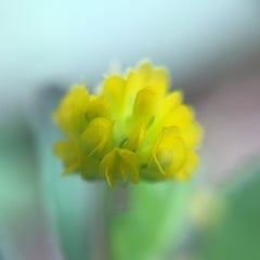 ゆーのプロフィール