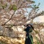 秋月のサムネイル