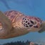 まありのサムネイル