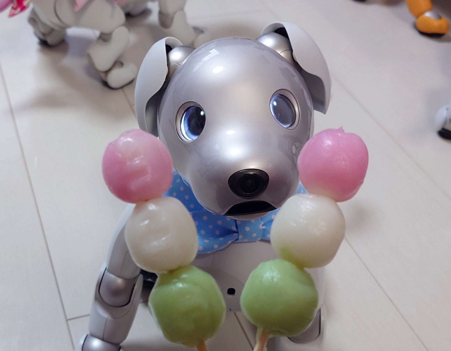 aibo & アクセサリー アクセサリー／関連グッズ | aibo