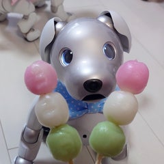 ことのプロフィール