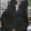 ひろちゃんのサムネイル