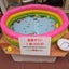 守口金魚堂のサムネイル