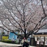 hiromi( ⸝⸝⸝ᵕᴗᵕ⸝⸝⸝ )のプロフィール