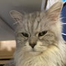 まーみんのプロフィール