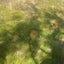画像 wasedidiのブログのユーザープロフィール画像