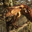 シノルニトサウルスのサムネイル