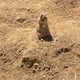 sumakoのおすすめのサムネイル