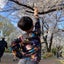 とんさんのサムネイル