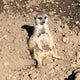 はるのおすすめのサムネイル