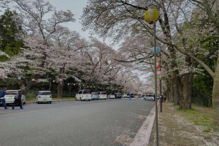アメリカ議会 04110287のブログおこんばんは