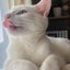 りりまぁのサムネイル