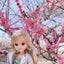 LILYのサムネイル