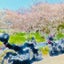 さっちゃんのバイクライフ🍀☺️✨🏞️⛱️🏄🏍のサムネイル