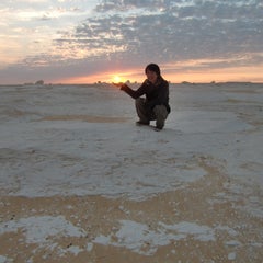 journey-papaのプロフィール