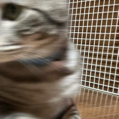 摂食障害5年目の外来通院治療記録のプロフィール