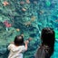 aoiのサムネイル