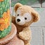 shinoのサムネイル