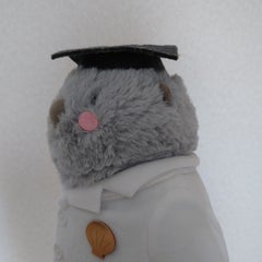 ぽぇぽぇのプロフィール