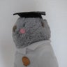 ぽぇぽぇのプロフィール