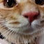 やまのサムネイル