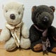 アミムのおすすめのサムネイル