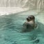 ファティマのサムネイル