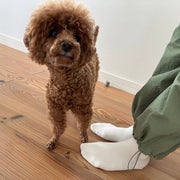 まぬうのオススメのサムネイル