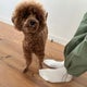 まぬうのオススメのサムネイル