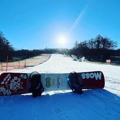 minazohのプロフィール