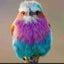 katakoi1116のサムネイル
