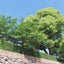 mikoto5905のサムネイル