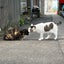 すずのサムネイル