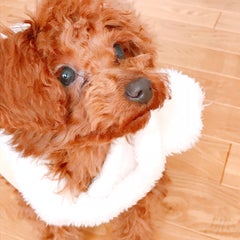 marurinのプロフィール