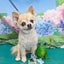 しなもんのサムネイル
