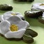 画像 京都八幡アイシングクッキーサロン 時々（トキドキ）のユーザープロフィール画像