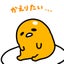 dain（でぃ一ん）のサムネイル