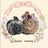 うさぎ多頭飼い生活