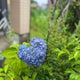 えころんのおすすめのサムネイル