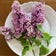 lilas-0224のブログ