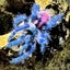 tarataraumaのサムネイル